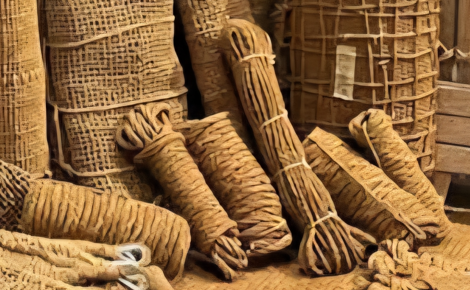 Corde en fibre de coco 25m texture naturelle tressée pour fixation extérieure
