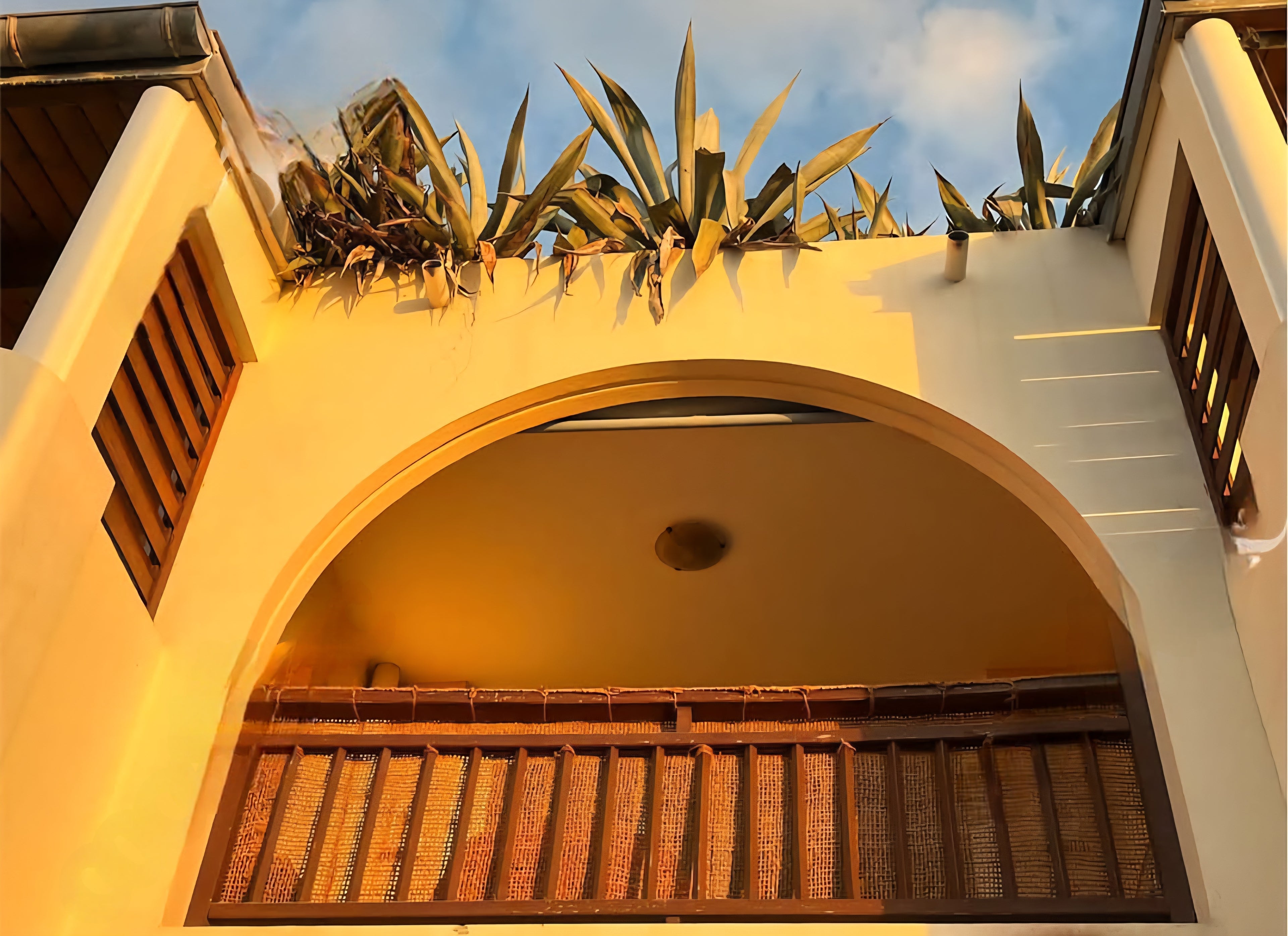 Brise-vue 1x3m fibre de coco détail texture tressée naturelle